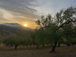 Amanecer en Mondrón